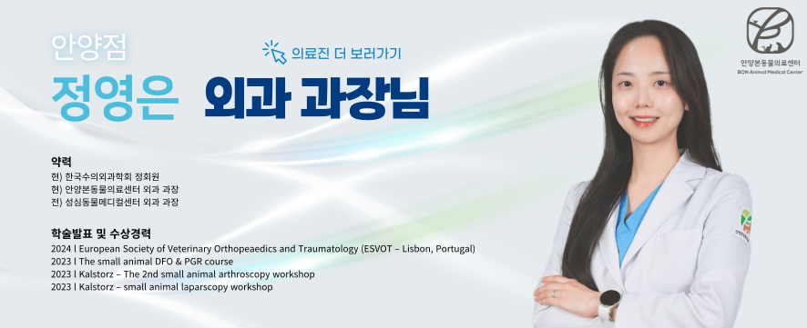 안양본동물의료센터 정영은 과장님 약력